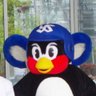 Profilbild von たつこひめ