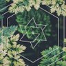 صالح's profile picture