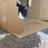 ナヲ 的头像