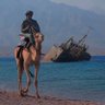 مـحــسـن الــســنـيور's profile picture