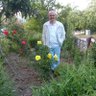 Bayram AKYÜZ's profile picture