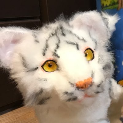 alberichnui's profile picture