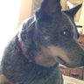 Profilbild von JuJu