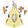 オカメのお絹(Kinu)'s profile picture