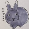 ぱんだってなにもの( ˙ᒡ̱˙ ®) 的头像