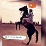 ابوثامر حماد الضيوفي 的头像