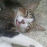 AnAs𓃵 profil fotoğrafı