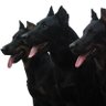 NEGVS & LES BRAVES's profile picture