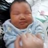 少数派's profile picture