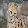 馬の骨2010 profil fotoğrafı