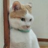 Фото профиля よぞら