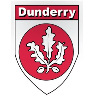 Dunderry Gaa's profile picture