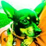 Profilbild von Luisa