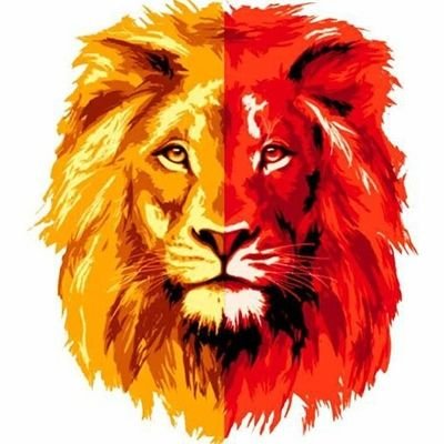 Cimbom Haber 🇹🇷's profile picture
