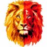 Cimbom Haber 🇹🇷 profil fotoğrafı