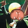 theBFV's profile picture
