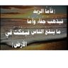 سعود الهاجري profil fotoğrafı