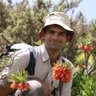 Mohammad Rahimi profil fotoğrafı