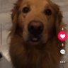 cece's profile picture
