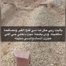 المشاعل's profile picture