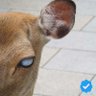 Jan Van Assche profil fotoğrafı
