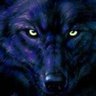 El Lobo Gama 的头像