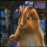 Profilbild von KiT Foz