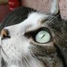 Fina Barna profil fotoğrafı