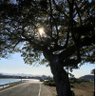 高橋 海凪's profile picture