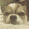 SyuSyuKen's profile picture
