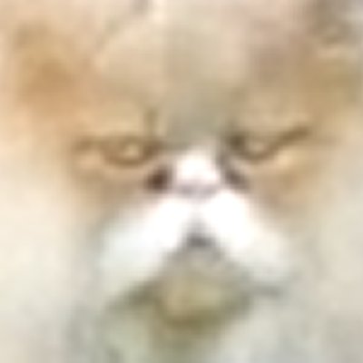 an0nymooose's profile picture