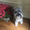ellen's profile picture