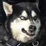 Nani72's profile picture
