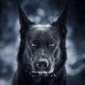 Więc Hrabia Roman On🇵🇱's profile picture