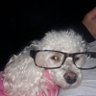 bosterix's profile picture