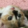 åœæ's profile picture