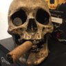 nikolai's profile picture