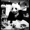 Princess Pinky 1st of Her Name & Mother of Pandas's profile picture