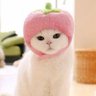 苺 ♡いちごchan^ㅅ^ profil fotoğrafı