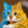 бандерівка profil fotoğrafı