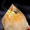 Citrine's profile picture