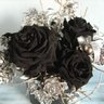 黒薔薇 profil fotoğrafı
