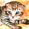 猫太郎 しじみさんとあさりさん's profile picture