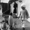 pingüino loco 的头像