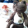 とんじき's profile picture