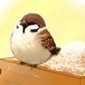 Фото профиля いなかのすずめ