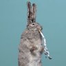 Barroco's profile picture