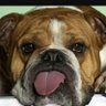 wake up...😴 profil fotoğrafı