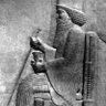 Фото профиля Xerxes