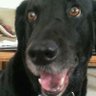 MrEveryMan44's profile picture